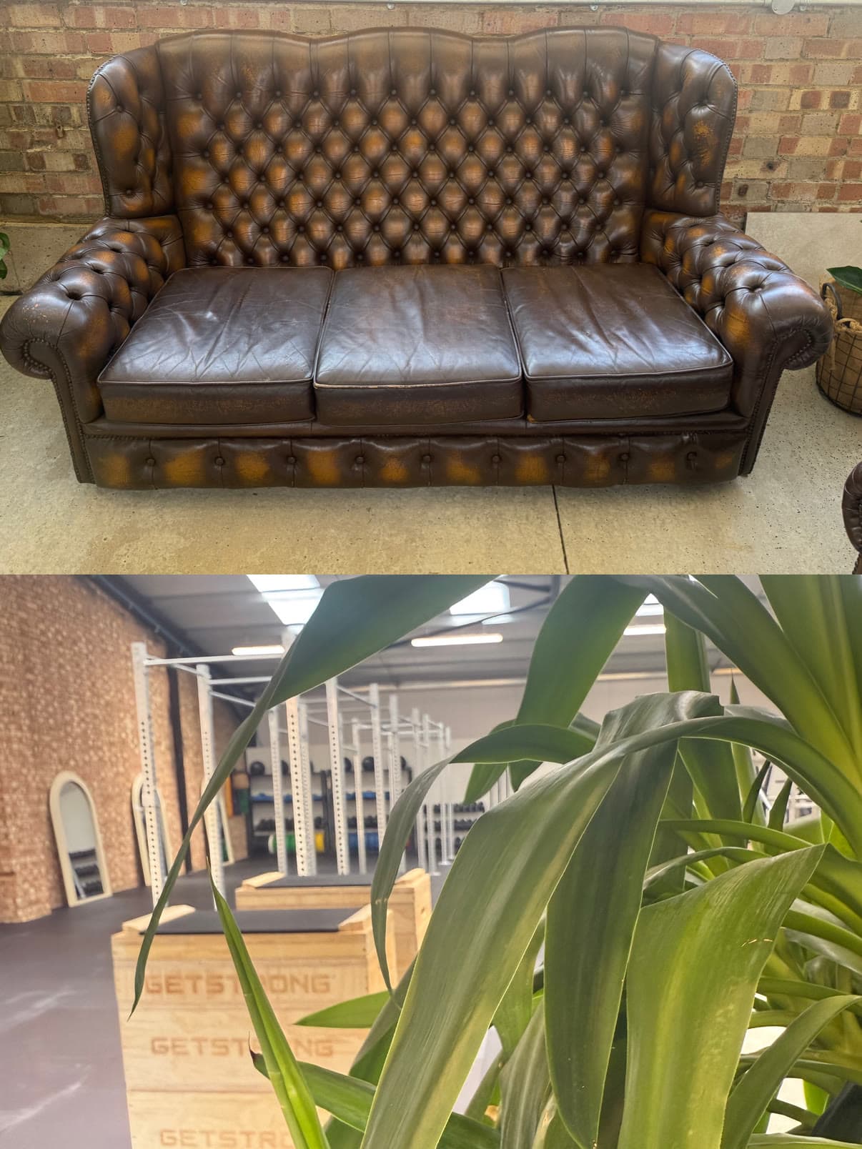 A leather chesterfield sofa for the gym lounge area, above a plant on the gym floor with the lifting rig and GETSTRONG plyo boxes behind.